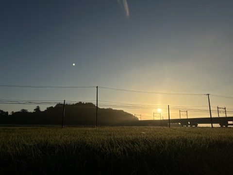 【期間限定】新米ひとめぼれ 3kg×2