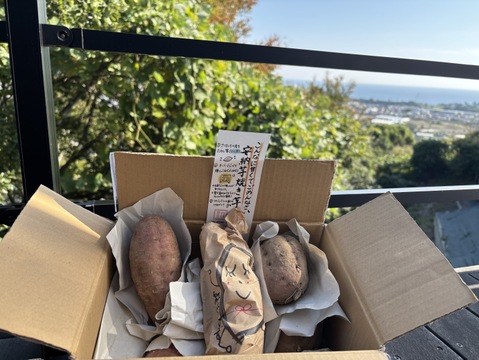 【熟成芋】高糖度プチサイズ安納芋（2㎏）独自の方法で熟成！蜜溢れ出る焼き芋がご家庭で簡単に🍠ひとつひとつ丁寧に紙に包んでお届けでプレゼントにも。【冬ギフト】【お歳暮】熨斗承ります。