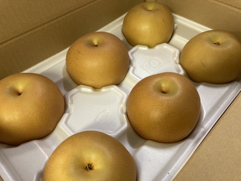 糖度13度以上☆梨の王様、『新高梨』10kg（5kg×2箱）