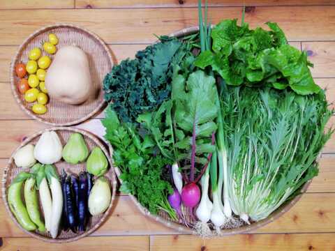 【農薬化学肥料不使用】バターナッツカボチャ入り野菜セット【８種類以上の野菜】【金曜日発送】【あわせ買い可】【熨斗(のし)対応可】【８０サイズ箱】