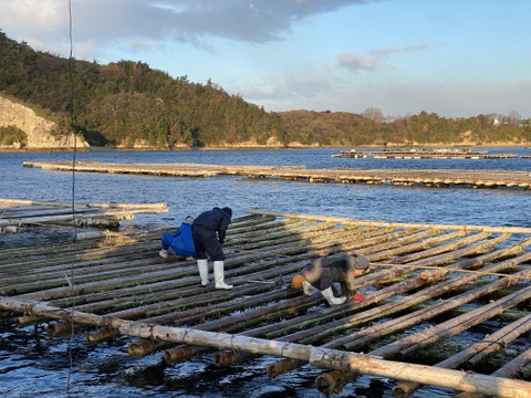 【冷凍】かき料理贅沢三昧　広島県産　生食用かき　ホームパーティー　おもてなし料理　贈答用にもおすすめ♪