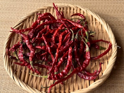 愛知県 豊田市旭産 赤唐辛子 日光唐辛子（乾燥） 40g