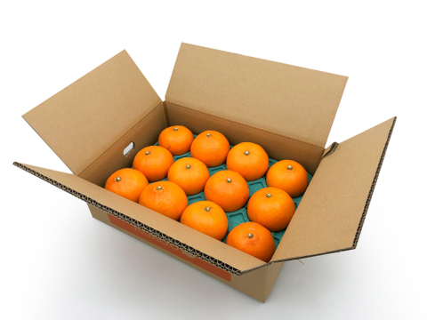 【予約】媛太陽プリンセス〈家庭用・優品〉約3kg　※発送は2月末頃開始予定