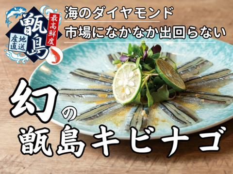 【超大手スシロー御用達】市場になかなか出回らない鮮魚『幻の甑島キビナゴ』業界初パウダースノー冷凍で最高鮮度本格刺し盛り🐟20代女性漁師が手掛ける甑島ブランド【冬ギフト】【4月下旬予約】