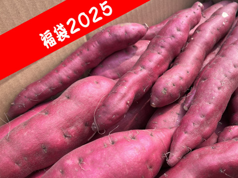 【福袋2025】採れたてホクホクさつまいも 土佐紅8kg(M~2L)