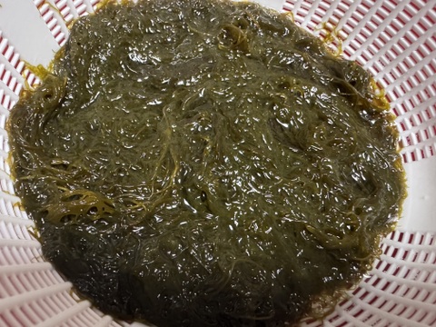 天然の糸モズク　期間限定