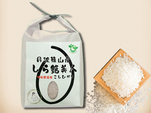 《新米R2年産》食べなきゃ損!!おかずいらずの甘味と旨みある丹波篠山米【お試し2㎏】