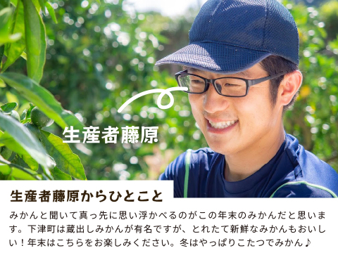 とれたてしもつみかん10kg｜和歌山県海南市下津町から産地直送でお届け