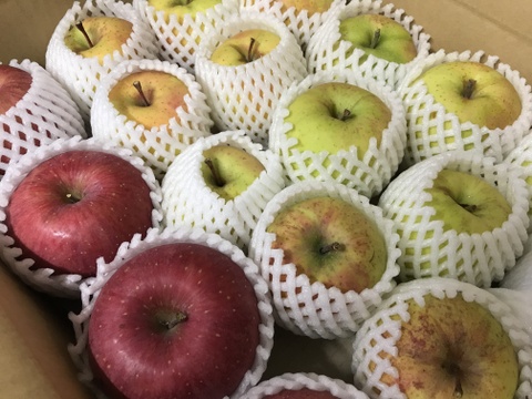【福箱】青森県産りんご 家庭用 きずあり MIX 約5kg 【限定商品】
