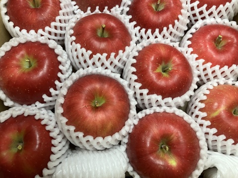 【贈答用】青森県産りんご「シナノスイート」約10kg(5kg×2箱)【光センサー選果】