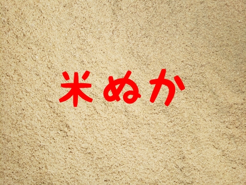 令和7年産 高知県産 新米 コシヒカリ 米ぬか 10㎏(袋込み)