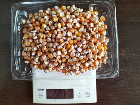 【自然栽培】甲州とうもろこしの粒　500g
