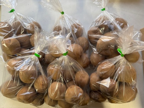 【毎日のフルーツに】福岡県八女産アップルキウイ 約6kg｜５５個以上｜ご家庭に一番おすすめ｜ 食べやすいサイズ中心（約111〜145g）｜農薬・化学肥料不使用