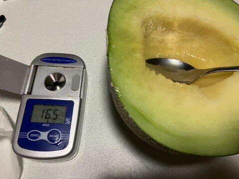 至高の自然栽培メロン超特大3kg