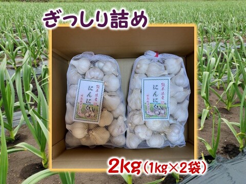 旨味と甘み凝縮！熊本県産『生にんにく』【訳あり】ご家庭用２ｋｇ/（1㎏×2袋）