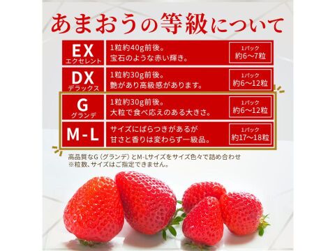 【いちごの王様！ あまおう苺 サイズ色々で270ｇ×4パック！【冬ギフト】