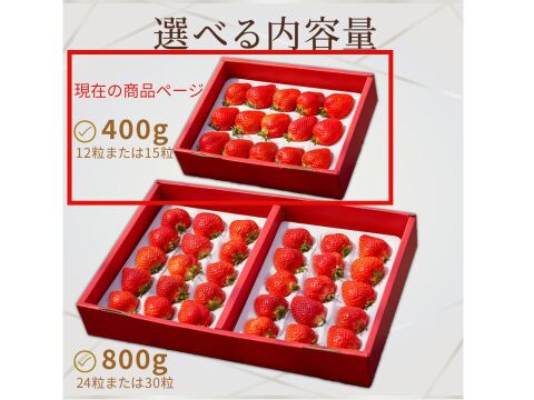 【お歳暮ギフトに】特選あまおう 400ｇ【冬ギフト】