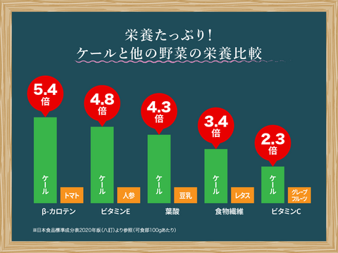 新鮮！採れたて！フレッシュケールのスムージーセット 80g〜　化学肥料/農薬不使用だから安心して食べられる【FISH VEGGIES】