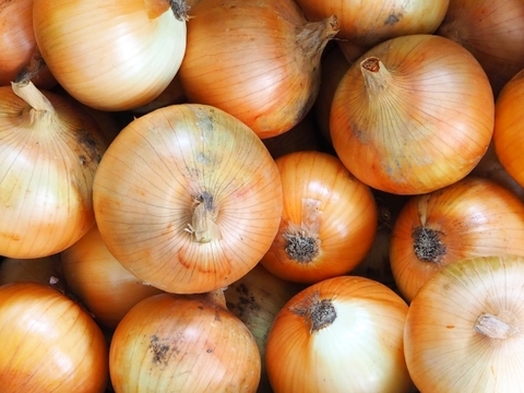 【淡路島三世代の味】コクと深みが違う！完熟ターザン常備5kg（サイズ混合）