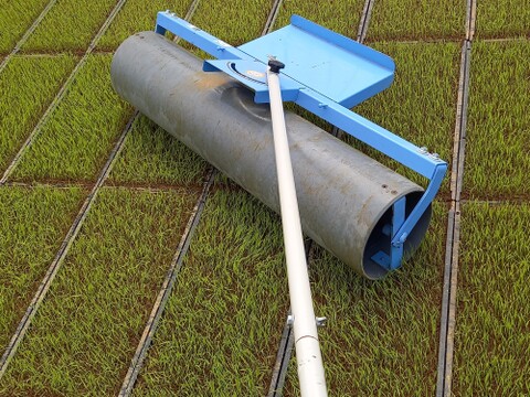 【令和7年産新米予約】有機栽培コシヒカリ（分づき精米）５㎏