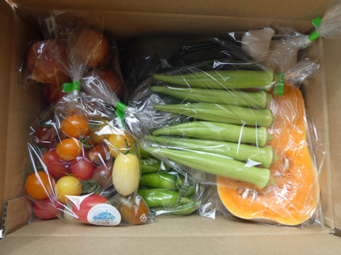 一人暮らしの方に・季節の野菜セット５～７品（Ｓサイズ・1～1.5kg前後）【お試しサイズ】