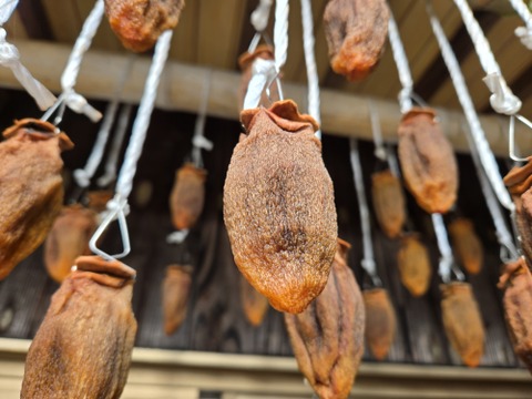 ★自然栽培品　干し柿　愛宕柿　1パック12個入り　天日干し自然乾燥品