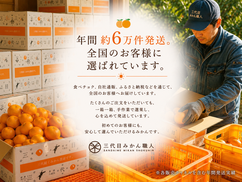 頂みかん3kg｜【年間約6万件発送】75年以上受け継ぐ、三代目みかん職人｜愛媛県八幡浜産