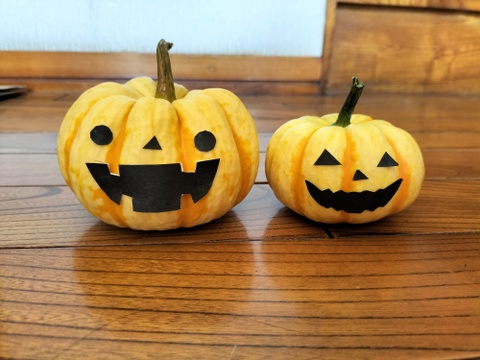 プッチーニ（約1kg 3〜5玉 ）🖤ねっとり甘い可愛いカボチャ【冬ギフト】