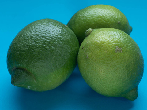 【広島県産】瀬戸田しまなみレモンAB混合品(10kg) 栽培期間中農薬不使用