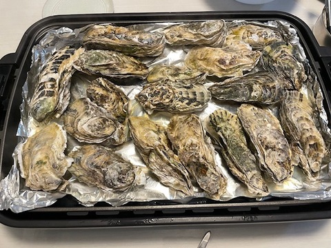 【水産庁補助事業　送料無料】❄️ 生食用 ８ｋｇ 殻付き 牡蠣 急速凍結 （冷凍牡蛎）松島牡蠣屋直送 🔥 BBQ/パーティーに！貝類 海産物 oyster 😋冷凍牡蠣 貝類 二枚貝 B