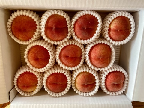 硬くても甘い、お好みの硬さで！早生の桃『福島の桃』３kg(９〜１３玉）【贈答用】