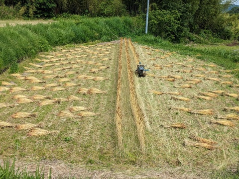 うどん　(乾麺)200g×4袋
