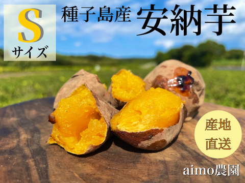 【絶品】種子島産  安納芋S 24kg(箱別)
