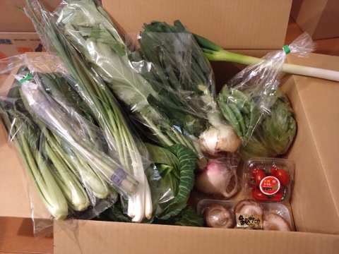 畑から採りたて発送！©静岡厳選野菜セット（12品)（本州の方限定）「熨斗対応可」