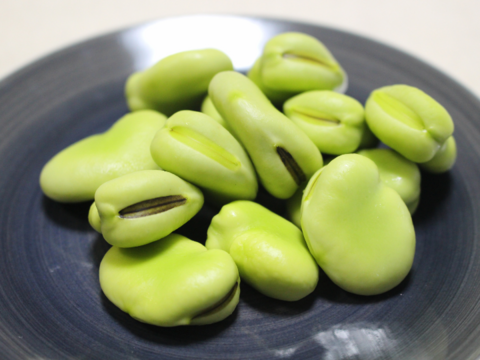 【規格外】１粒お豆さん 大集合❗ ３㎏ 朝穫れ❗「そら豆（さや付き）」