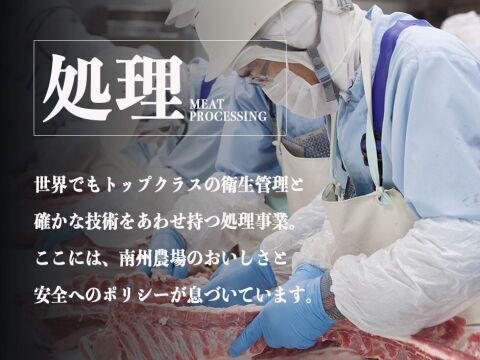 【添加物なし!!】鹿児島黒豚ノン・アッドソーセージ詰合せ