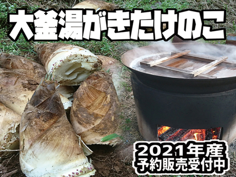 21年産予約 大釜湯がきたけのこ 1 5kg 福岡県産 食べチョク 農家 漁師の産直ネット通販 旬の食材を生産者直送