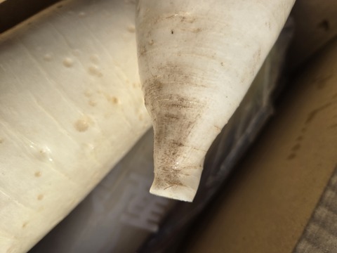 【同梱発送】自然栽培大根×ネギ