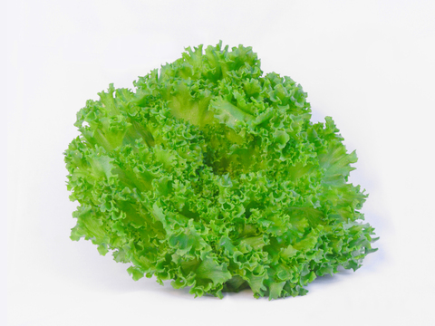 サクッ！うまっ！星のブーケレタス【水耕栽培】🥬クリスピーレタス🥬1kg 320ｇ〜350g × 3～4玉