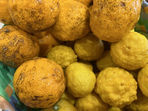 丸ごと柚子❣️マーマレード　150g