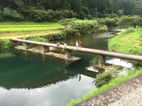 みんなでわけわけ　たっぷり丸オクラ２.５kg