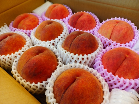 【贈答用】品種おまかせ　中箱9〜13玉（約３kg）【ギフト・贈答用に】7月30日頃〜8月15日頃まで販売