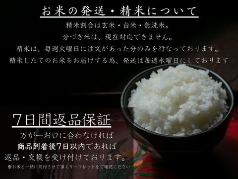 令和6年産新米【玄米10kg】特別栽培米！1750年から続くお米農家が作ったコシヒカリ『縁起の竜王米』　滋賀県竜王町産 お米