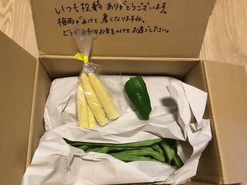 【大好評！本当に美味しい】自然栽培ケンタッキーいんげん（1kg）