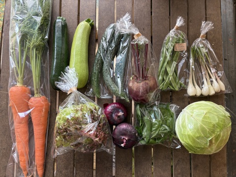 ギフトにも！【今が旬！10種類の夏野菜セット】/農薬・化学肥料不使用（簡単な調理例記載あり！）