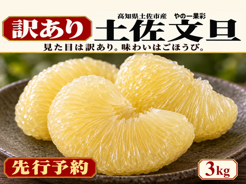 土佐文旦 訳あり3kg｜見た目より味と量｜サイズ・玉数おまかせ｜発祥の