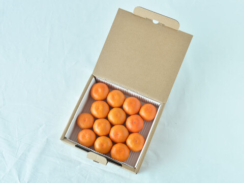 有田みかん　船林-ふなりん-[14個入]（Sサイズ相当）贈答用 超特選品　赤秀　和歌山 311-fr14