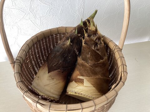 【朝堀り】自然栽培たけのこ２kg