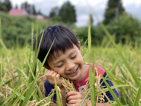 【5kg紙袋包装】ササシグレ　農薬と化学肥料を使わない栽培　弱アルカリ性の米　無洗米
