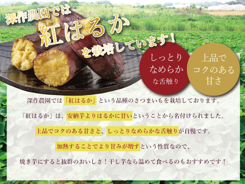 上品な甘さ！しっとり食感！さつまいも『紅はるか』【2Lサイズ】【5kg】【茨城県産】日本一のサツマイモと評価を受けた高栄養価！さつま芋(うすく土付き)